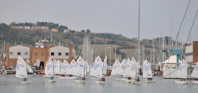 Dai Club: tra Zonale Optimist, Ancona-Zara e scuola vela, un mese ricco di iniziative alla Lega Navale di Ancona